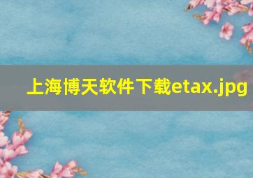 上海博天软件下载etax