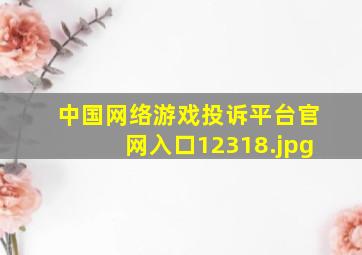 中国网络游戏投诉平台官网入口12318
