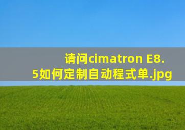 请问cimatron E8.5如何定制自动程式单