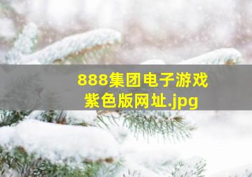 888集团电子游戏紫色版网址