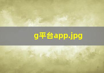 g平台app
